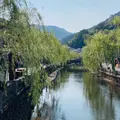 城崎温泉の写真_1669360