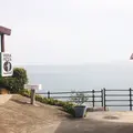 SAKURAGUMI （サクラグミ）の写真_167017