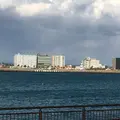 浜名湖の写真_167142