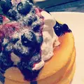 ミクロコスモス （MICROCOSMOS）の写真_167193