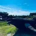 小の口公園の写真_1675262