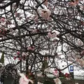 渚親水公園・ムーンテラスの写真_168497