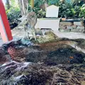 青島神社 手水舎の写真_1685343