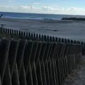米津の浜の写真_168883
