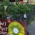 キウイフルーツ・カントリーＪＡＰＡＮの写真_1693834