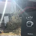 ドロフィーズカフェ （DLoFre's Cafe）の写真_170008
