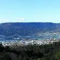 屋島の写真_170862