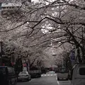 PRONTO ILBAR 八重洲さくら通り店 (プロント イルバール)の写真_171279
