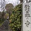鈴虫寺（華厳寺）の写真_171725