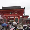 清水寺の写真_171794