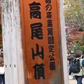 高尾山の写真_1718996