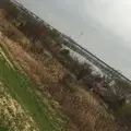 江戸川河川敷の写真_172207