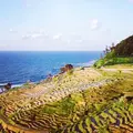 千枚田の写真_172282