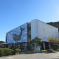 太地町立くじらの博物館の写真_1723446