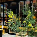 【閉業】ライフ デイリー ミールズ 熊本店 （LIFE Daily Meals） の写真_172430
