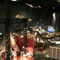 神奈川県立生命の星・地球博物館の写真_172601