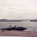熱海サンビーチの写真_172804