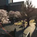 立教大学 池袋キャンパスの写真_172813