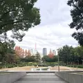 靱公園の写真_173010