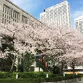 東京都庁の写真_173321
