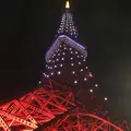 東京タワーの写真_173333
