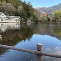 金鱗湖の写真_1734221