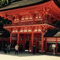 下鴨神社（賀茂御祖神社）の写真_173601