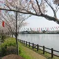 袋公園の写真_173767