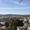 高山城跡の写真_173890
