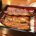 丸静の写真_174079