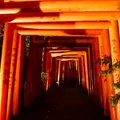 広坂稲荷神社の写真_1741437
