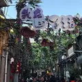 田子坊（Tianzifang）の写真_1741953