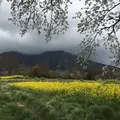 高森温泉館の写真_174326