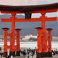 厳島神社の写真_1749083