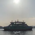 宮島 - 厳島の写真_1749111