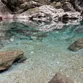 安居渓谷の写真_1749538