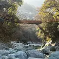 祖谷のかずら橋の写真_1750056