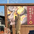 笠間の焼栗「愛樹マロン」の写真_1756788