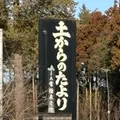茨城中央農協農産物直売所 土からのたよりの写真_1756793