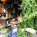 ムギマル2（mugimaru2）の写真_175796