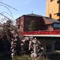 宮川中橋の写真_176201