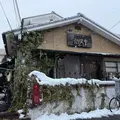 仙人掌の写真_1765145