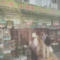 関和鳥獣店の写真_176517