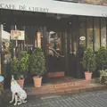【閉店】cafe de cherryの写真_176519