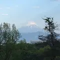 新府城跡の写真_176602