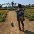 【閉業】ポピーの里 館山ファミリーパークの写真_176654