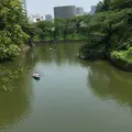 千鳥ヶ淵の写真_176735