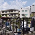 寿々木園の写真_176892