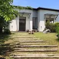 櫻櫻の写真_177068