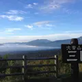 旭川市 旭山動物園の写真_177137